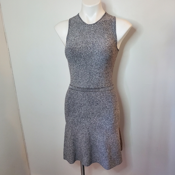 NWT Theory Marl Flare Dress P - Picture 2 of 6